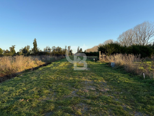 -5