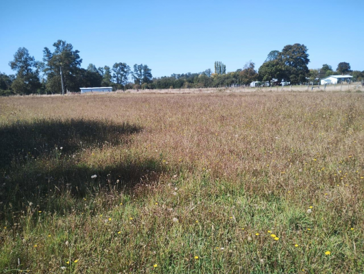 terreno-agricola-en-venta-rio-bueno,-sector-hu-8
