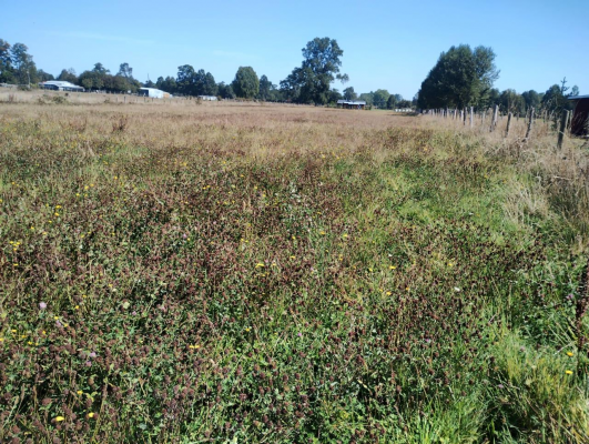 terreno-agricola-en-venta-rio-bueno,-sector-hu-9