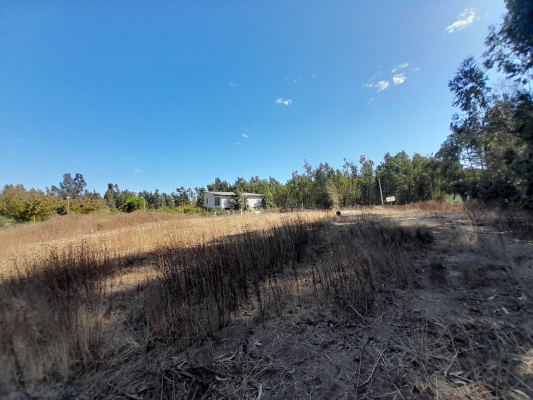 oportunidad-excelente-terreno-plano-(165129)-6
