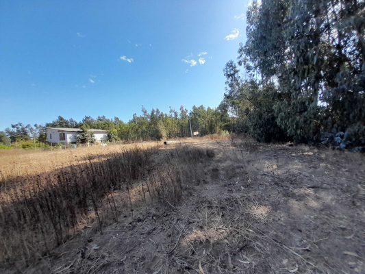 oportunidad-excelente-terreno-plano-(165129)-8