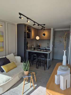 departamento-seminuevo-con-arrendatarios-en-venta-3
