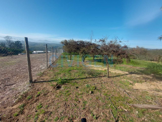 lista-para-constrir-0,5ha-exclusivo-aromos1-(16-4