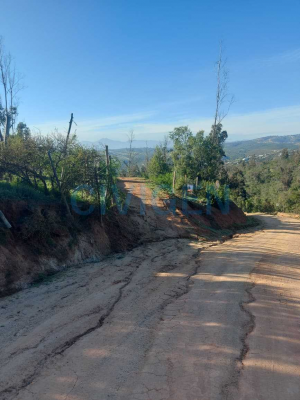 lista-para-constrir-0,5ha-exclusivo-aromos1-(16-7