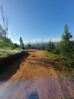 lista-para-constrir-0,5ha-exclusivo-aromos1-(16-8