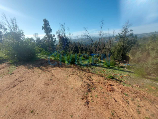 lista-para-constrir-0,5ha-exclusivo-aromos1-(16-9