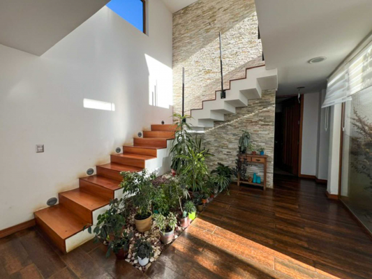 nou-//-casa-amplia-y-luminosa-en-andalue-(167753)-9
