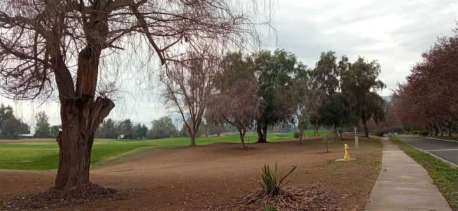 parcela-condominio-brisas-de-chicureo-(74887)-6