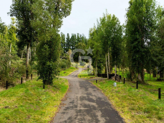 39090-5