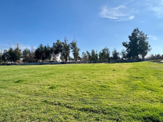 maravillosas-parcelas-de-5000-m2-santa-rita-de--7