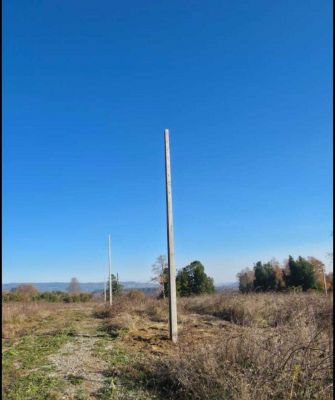 -10