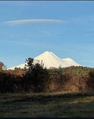 -12