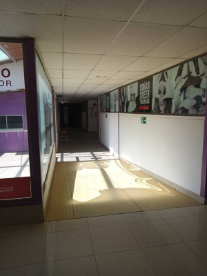 excelente-local-en-zona-de-alto-trafico-(167981)-9