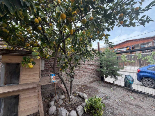 ??-venta-casa-1-piso-con-gran-patio-en-los-vi-(-6