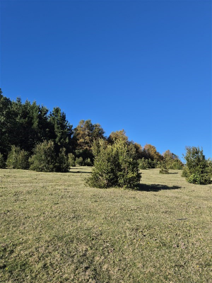 114112856-6