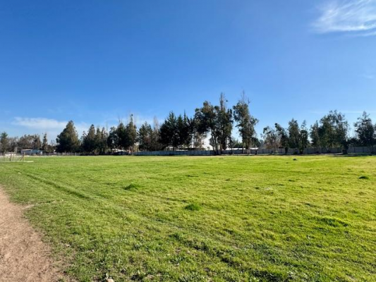 maravillosas-parcelas-de-5000-m2-santa-rita-de--5