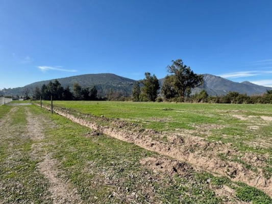 maravillosas-parcelas-de-5000-m2-santa-rita-de--4