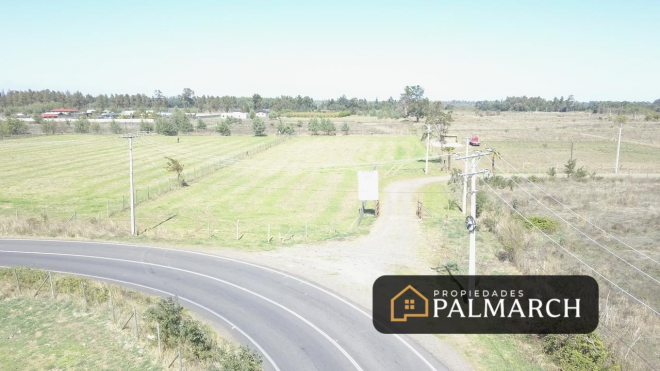 parcela-de-5000m2-a-12-minutos-de-chillan-4