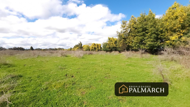 parcela-de-5000m2-a-12-minutos-de-chillan-3