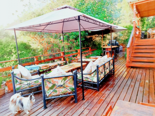 119629-5