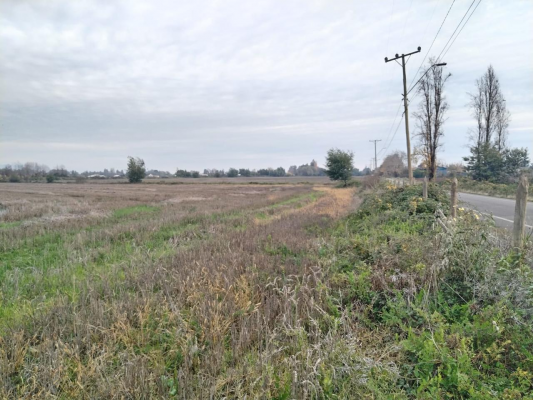 12-ha-excelente-suelo-agua-buen-acceso-san-clem-9