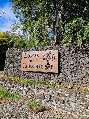 parcelas-camino-villarrica-licanray-loteo-orill-4