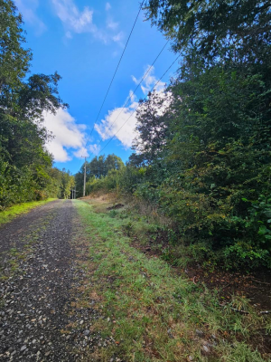 parcelas-camino-villarrica-licanray-loteo-orill-5