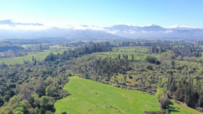 campo-77ha-buen-precio-y-condiciones-ideal-avel-3