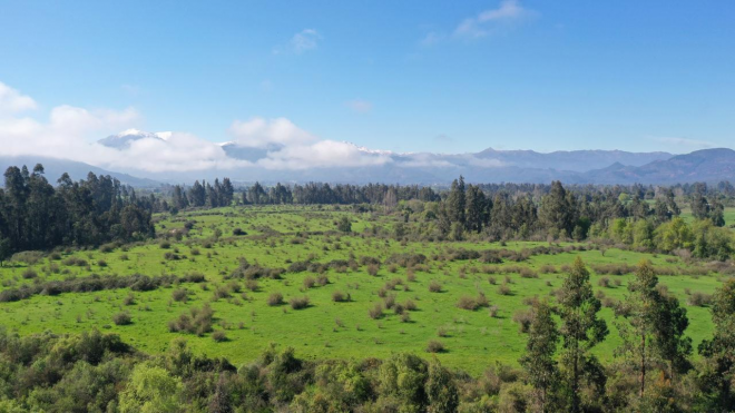 campo-77ha-buen-precio-y-condiciones-ideal-avel-9