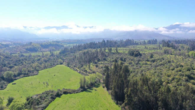 campo-77ha-buen-precio-y-condiciones-ideal-avel-5