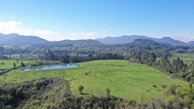 campo-77ha-buen-precio-y-condiciones-ideal-avel-7