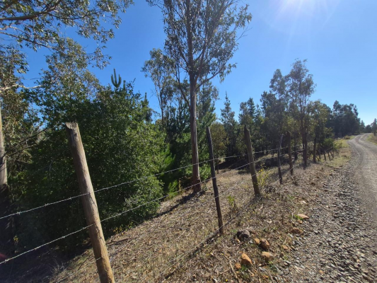 venta-terreno-4-hectareas-monterrey-alto,-comu-4