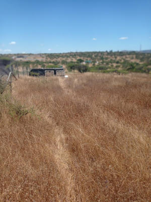 venta-parcela-5067mts-limache-6