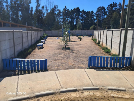 terreno-200-m2-en-el-tabo-calle-armando-celis-9