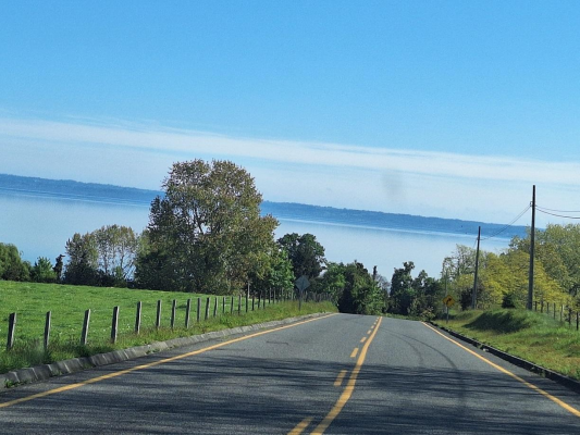 lago-ranco-camino-a-rio-bueno-vendo-5000-mts2-s-8