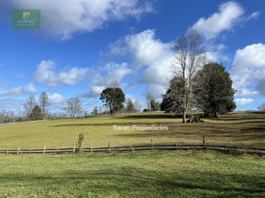reserva-estrategica-en-llanquihue-44-hectareas--5