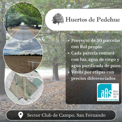 huertos-de-pedehue---sector-club-de-campo,-san--6