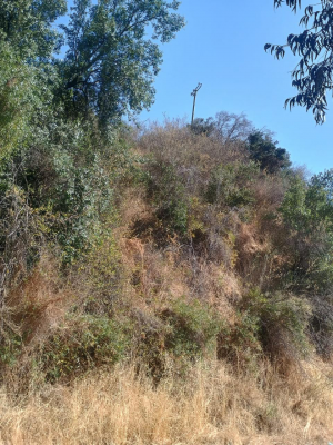venta-de-parcela-8,5-ha-en-tantehue-7