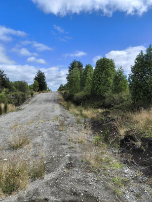 oportunidad-en-queilen---chiloe---terreno-de-6,-9
