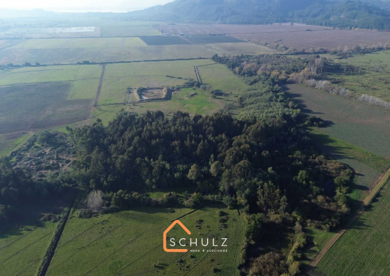 -3