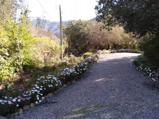 hermosa-parcela-(128025)-4