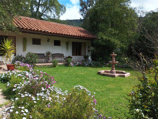 hermosa-parcela-(128025)-6