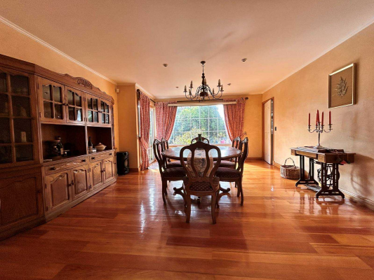 casa-isla-teja-vista-rio-cruces,-valdivia-(117641)-4