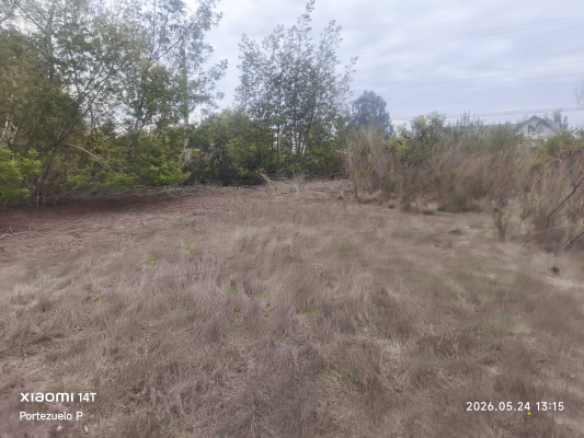 -13