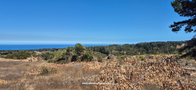 -9