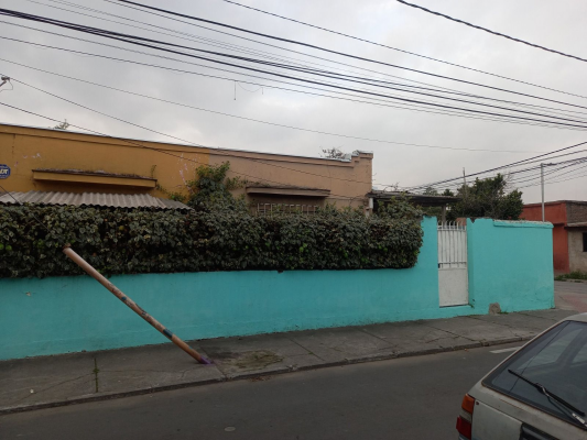 p20255008md0-4