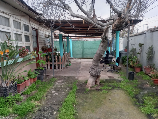 p20255008md0-5
