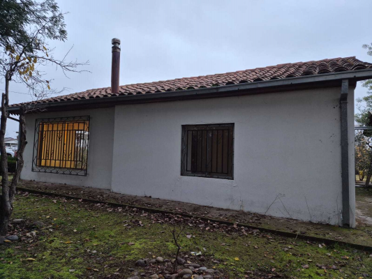 parcela-con-casa-en-venta-san-clemente-(168291)-5