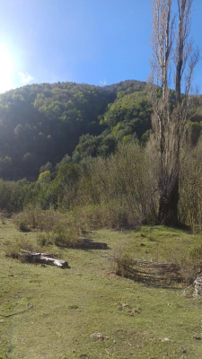 venta-terreno---sitio-280000mts-curacautin-6