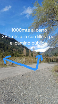 -10